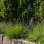 Wiejska 21 بيت للعطل *