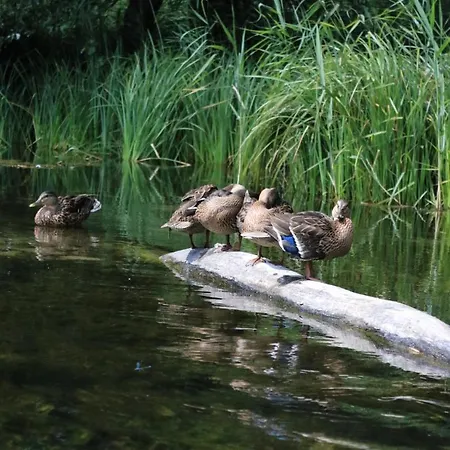 Сasa de vacaciones Wiejska 21 Ruciane-Nida