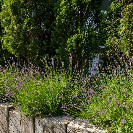 Wiejska 21 Сasa de vacaciones *